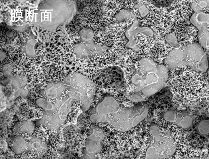 午夜福利视频导航燒結管式膜電鏡照片